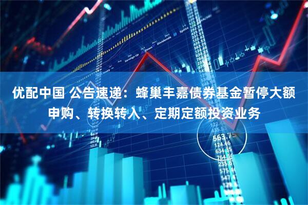 优配中国 公告速递：蜂巢丰嘉债券基金暂停大额申购、转换转入、定期定额投资业务