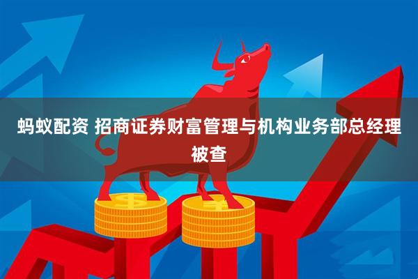 蚂蚁配资 招商证券财富管理与机构业务部总经理被查