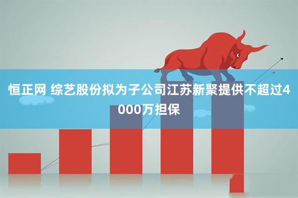 恒正网 综艺股份拟为子公司江苏新聚提供不超过4000万担保