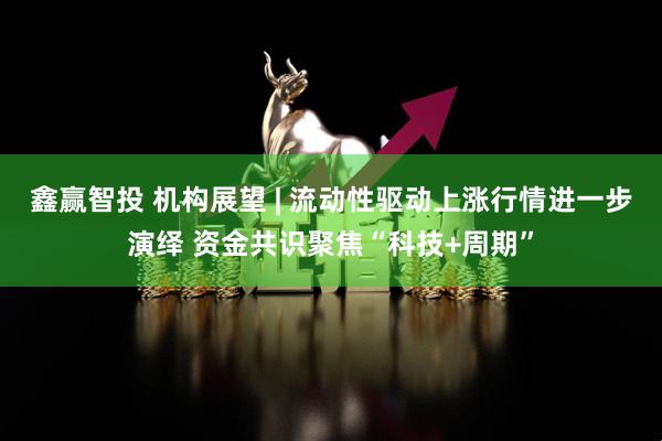 鑫赢智投 机构展望 | 流动性驱动上涨行情进一步演绎 资金共识聚焦“科技+周期”