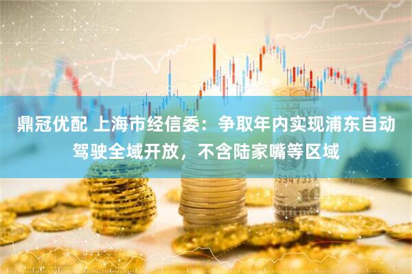 鼎冠优配 上海市经信委：争取年内实现浦东自动驾驶全域开放，不含陆家嘴等区域