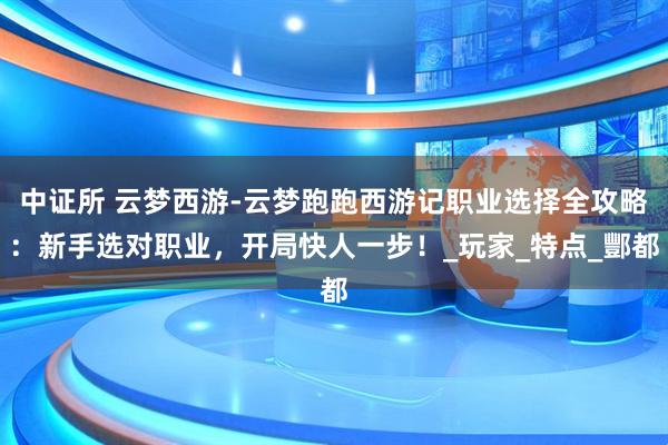 中证所 云梦西游-云梦跑跑西游记职业选择全攻略：新手选对职业，开局快人一步！_玩家_特点_酆都