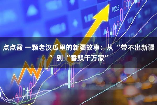 点点盈 一颗老汉瓜里的新疆故事：从 “带不出新疆” 到 “香飘千万家”