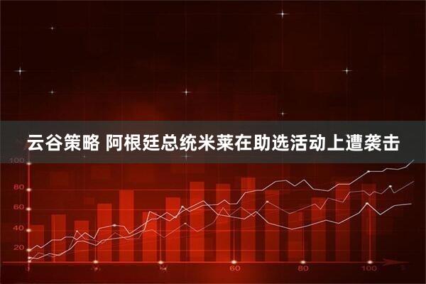 云谷策略 阿根廷总统米莱在助选活动上遭袭击