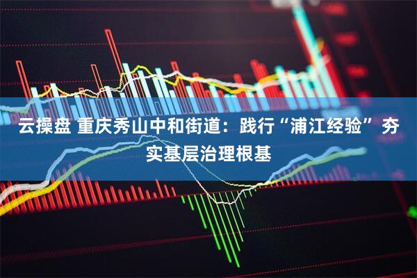 云操盘 重庆秀山中和街道：践行“浦江经验” 夯实基层治理根基