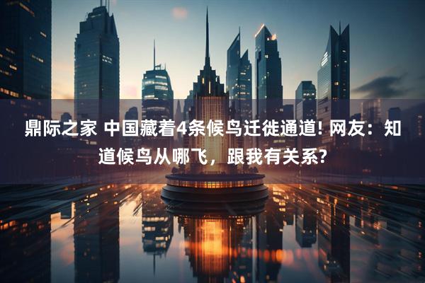 鼎际之家 中国藏着4条候鸟迁徙通道! 网友:知道候鸟从哪飞,跟我有关系?
