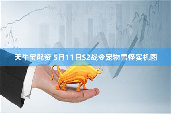 天牛宝配资 5月11日S2战令宠物雪怪实机图